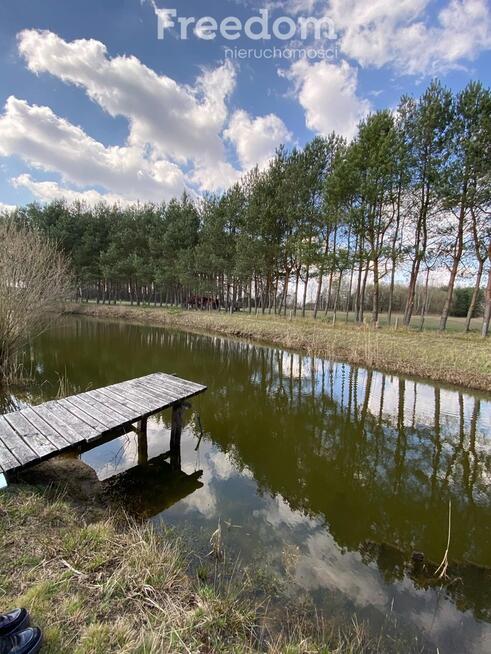 2 domy, 7 pokoi + 160 m2 b.gospodarcze, staw i las