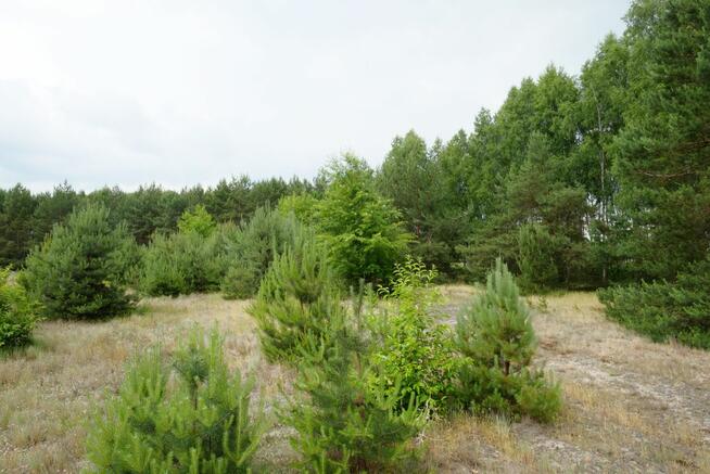 Działka rolna Wólka Smolana gm. Brochów,