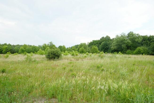 Działka rolna Wólka Smolana gm. Brochów,