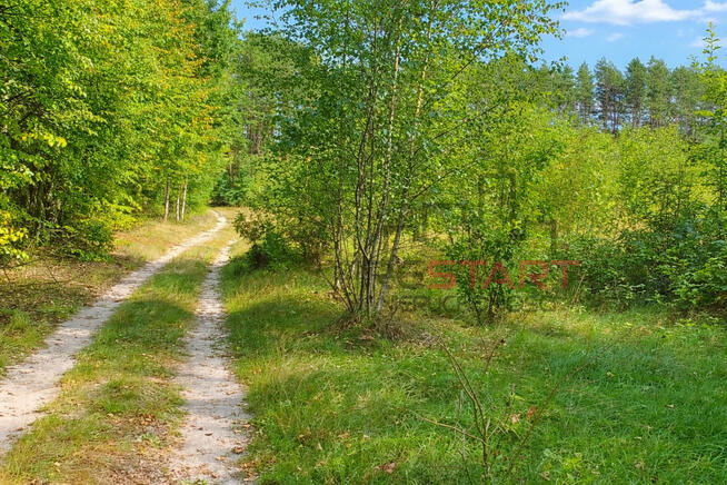 Działka usługowa Marków-Świnice gm. Mszczonów,