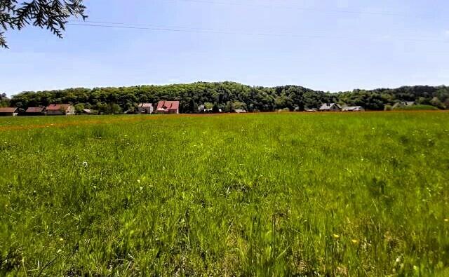 Działka budowlana-Zagórze-Rożnów-Małopolska