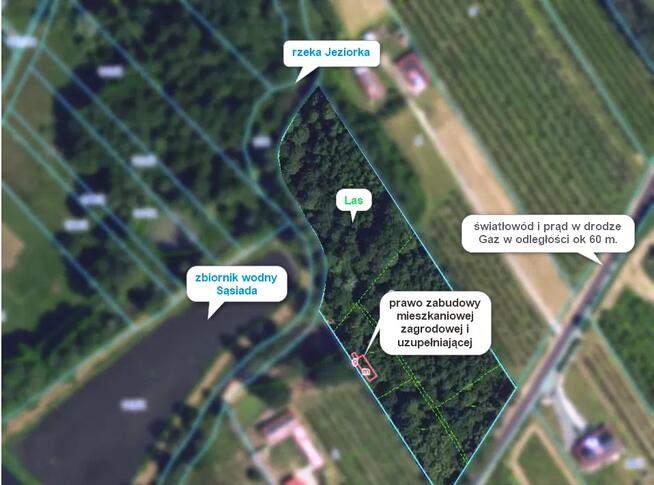 Duża działka budowlana Tomaszówka - Pniewy