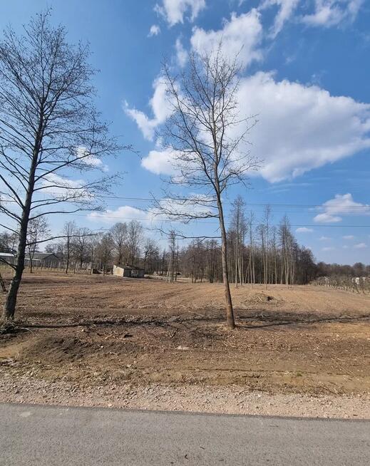 Duża działka budowlana Tomaszówka - Pniewy