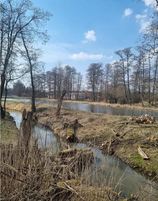 Duża działka budowlana Tomaszówka - Pniewy