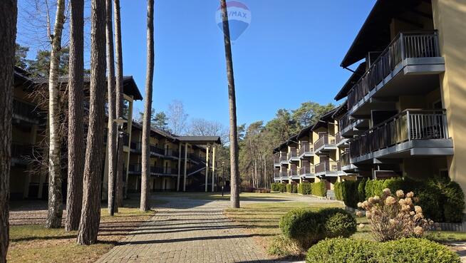 Rodzinny apartament w lesie nad Bałtykiem