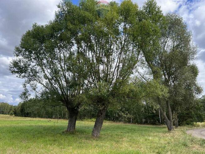 Działka siedliskowa