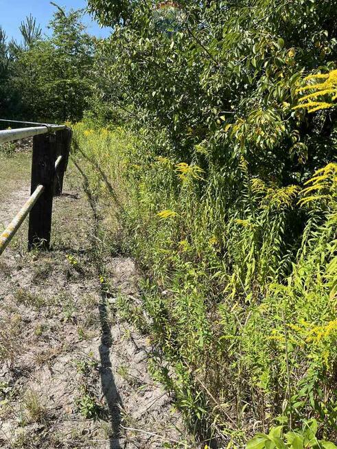 Działka (jeszcze) rolna przy rezerwacie