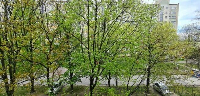 2-pokojowe mieszkanie na Woli