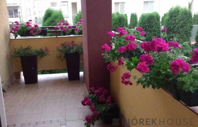 3-pokojowe mieszkanie w Markach