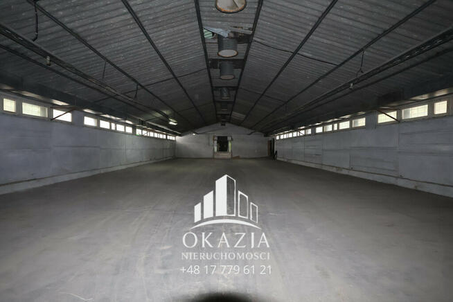 Hala magazynowa Wysoka Głogowska