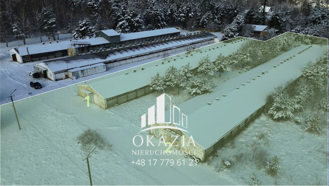 Działka inwestycyjna 5,19 ha Wysoka Głogowska