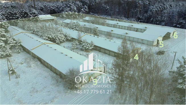 Działka inwestycyjna 5,19 ha Wysoka Głogowska