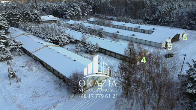 Działka inwestycyjna 5,19 ha Wysoka Głogowska