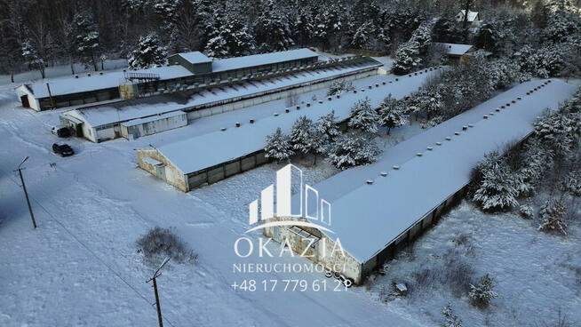 Działka inwestycyjna 5,19 ha Wysoka Głogowska