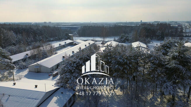 Działka inwestycyjna 5,19 ha Wysoka Głogowska