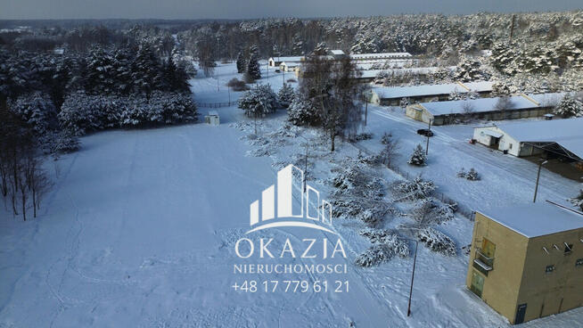 Działka inwestycyjna 5,19 ha Wysoka Głogowska