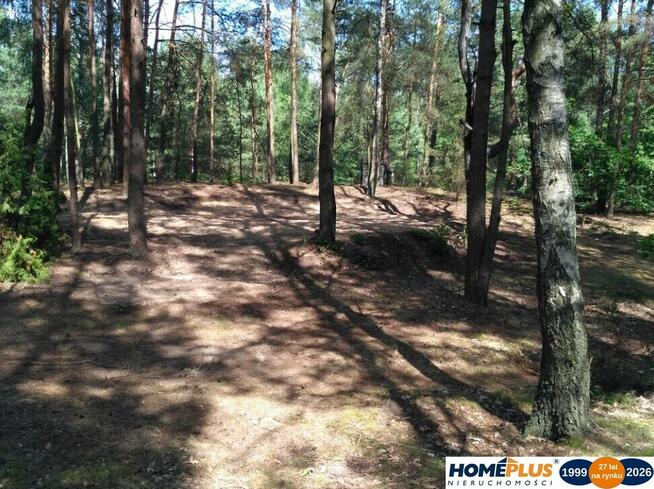 Działka w lesie 2064 m² - letniskowa i całoroczna
