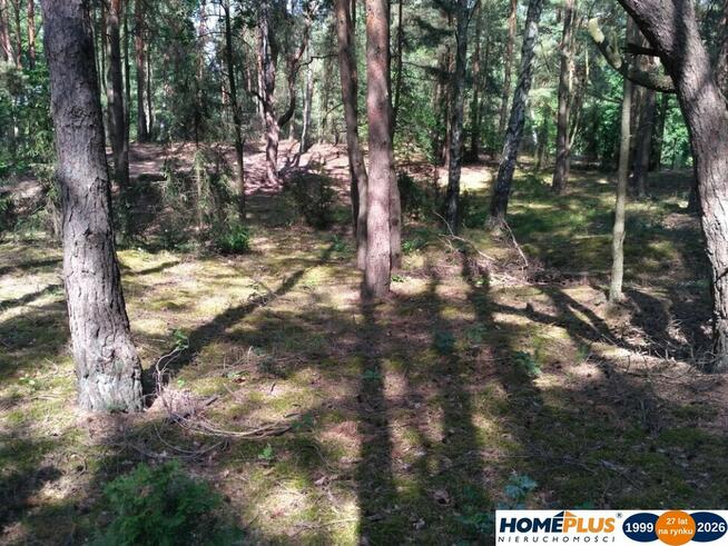 Działka w lesie 2064 m² - letniskowa i całoroczna