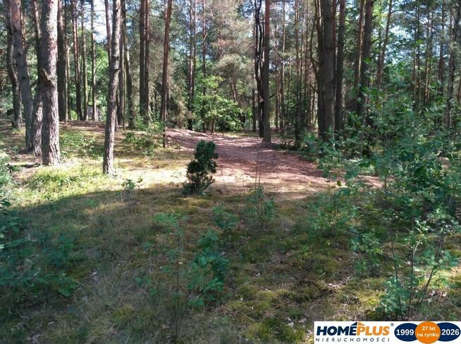 Działka w lesie 2064 m² - letniskowa i całoroczna