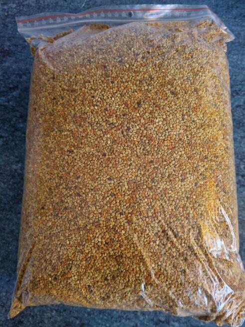 Miody Pyłek kwiatowy 0.5 kg 1 kg 5 kg 10 kg 25 kg Wysyłka