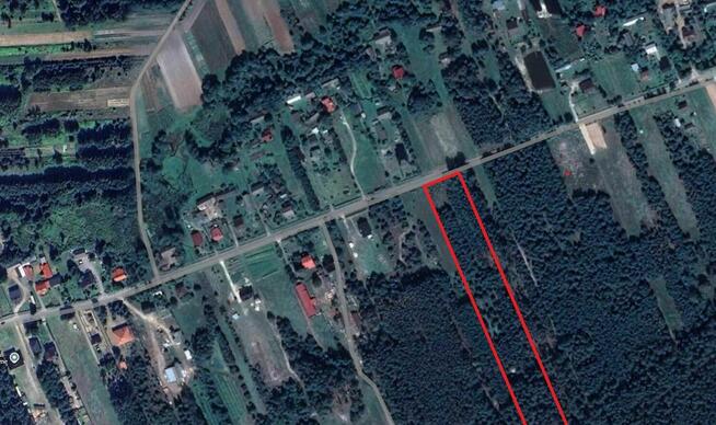 Działka budowlana 1,2 ha Karolówka, 10 min do Biłgoraja