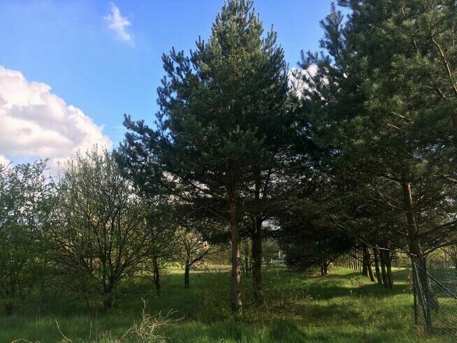 Działka Budowlana w Częstochowie