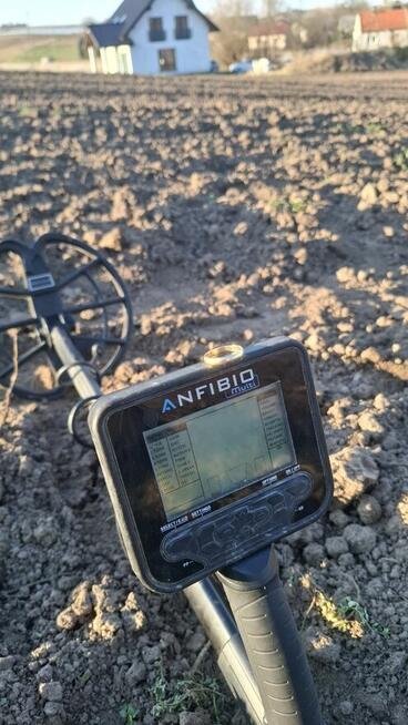 Wykrywacz metali metalu wypożyczalnia złoto srebro obrączka