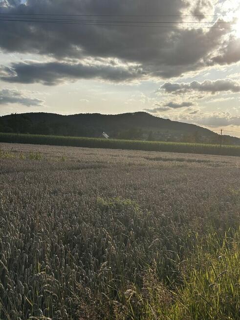 Duża działka Goleszów, między Ustroniem a Cieszynem