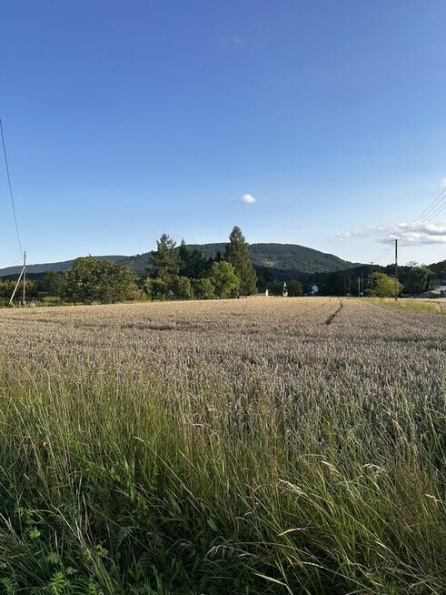 Duża działka Goleszów, między Ustroniem a Cieszynem