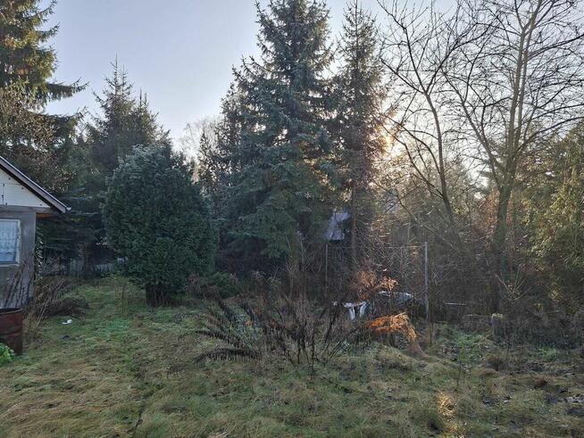 Nieruchomość - Dymaczewo Nowe