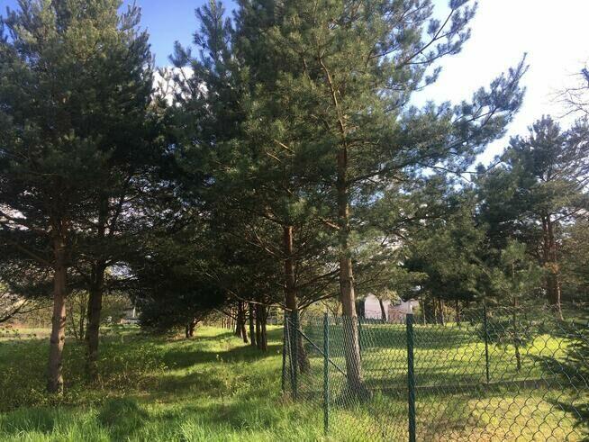 Działka Budowlana w Częstochowie