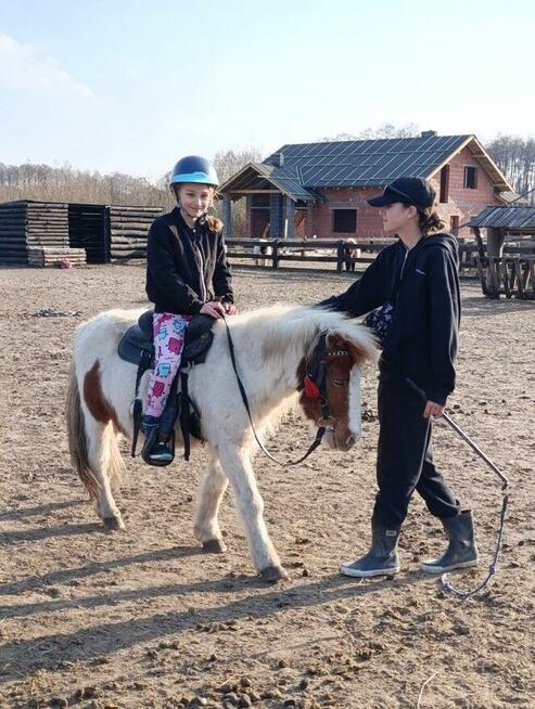 Wyjątkowa edukacja dla dzieci z udziałem koni.