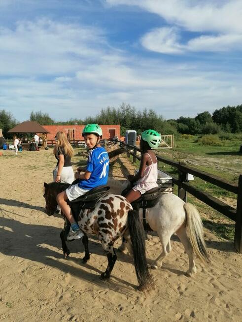 Wyjątkowa edukacja dla dzieci z udziałem koni.