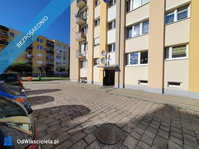 Do wynajęcia mieszkanie 2-pokojowe o powierzchni 35 m²