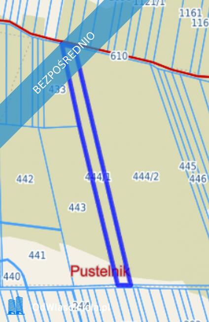 Las sosnowy 50-letni+pastwiska, 9111 m², Pustelnik