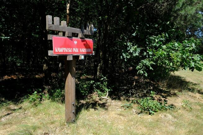 Działka rolna Kampinos,