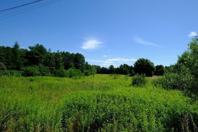 Działka rolna Kampinos,