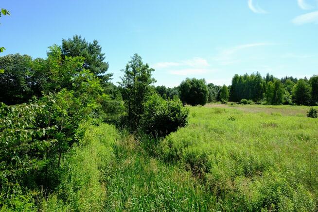 Działka rolna Kampinos,