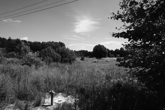 Działka rolna Kampinos,