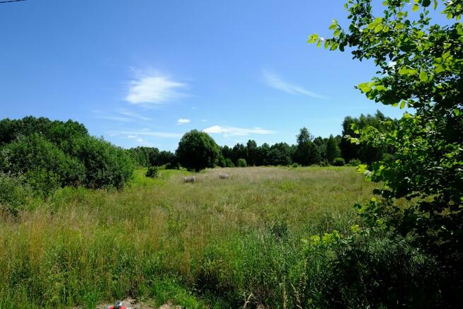 Działka rolna Kampinos,