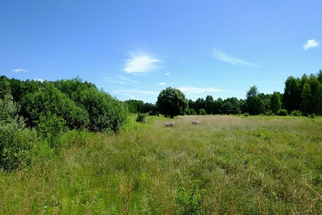 Działka rolna Kampinos,