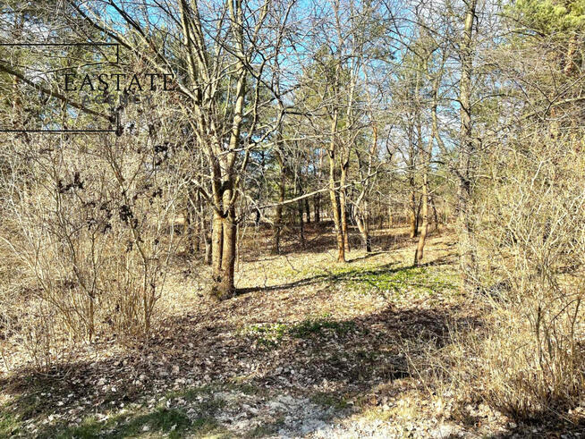 Działka inwestycyjna Józefów, Owsiana