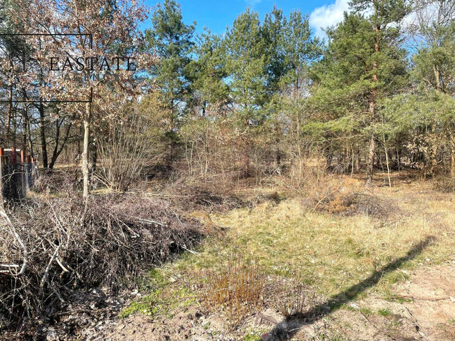 Działka inwestycyjna Józefów, Owsiana