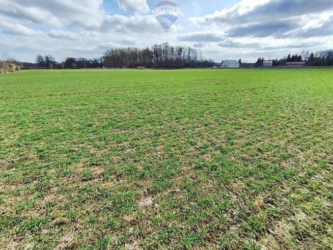 Działka budowlana w pobliżu Płocka