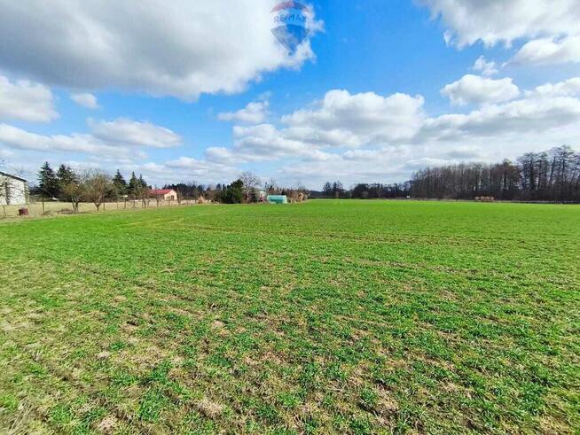 Działka budowlana w pobliżu Płocka