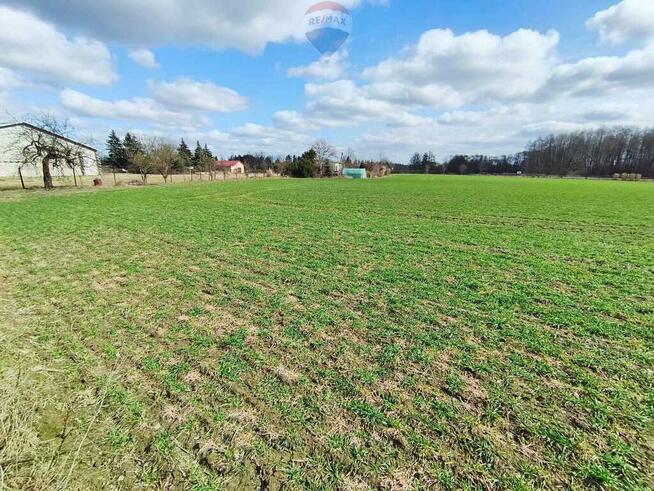 Działka budowlana w pobliżu Płocka