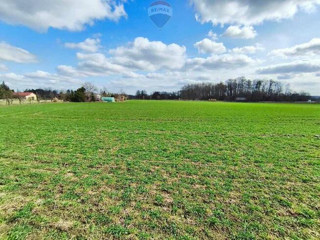 Działka budowlana w pobliżu Płocka