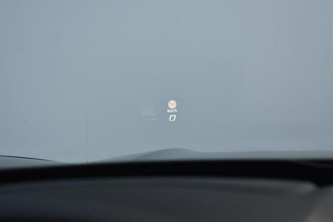 Cupra Terramar 2,0 265 KM, Kamery 360, DCC, Head-Up, Salon PL Vat 23%