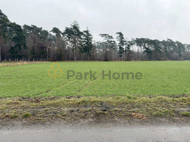 Działka inwestycyjna Srocko Małe gm. Stęszew,