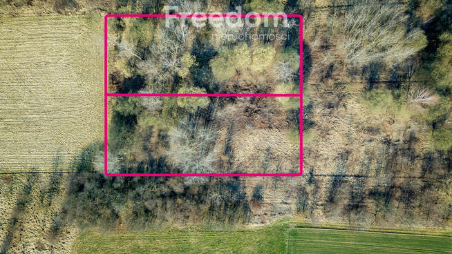 2 działki 51a Zwięczyca